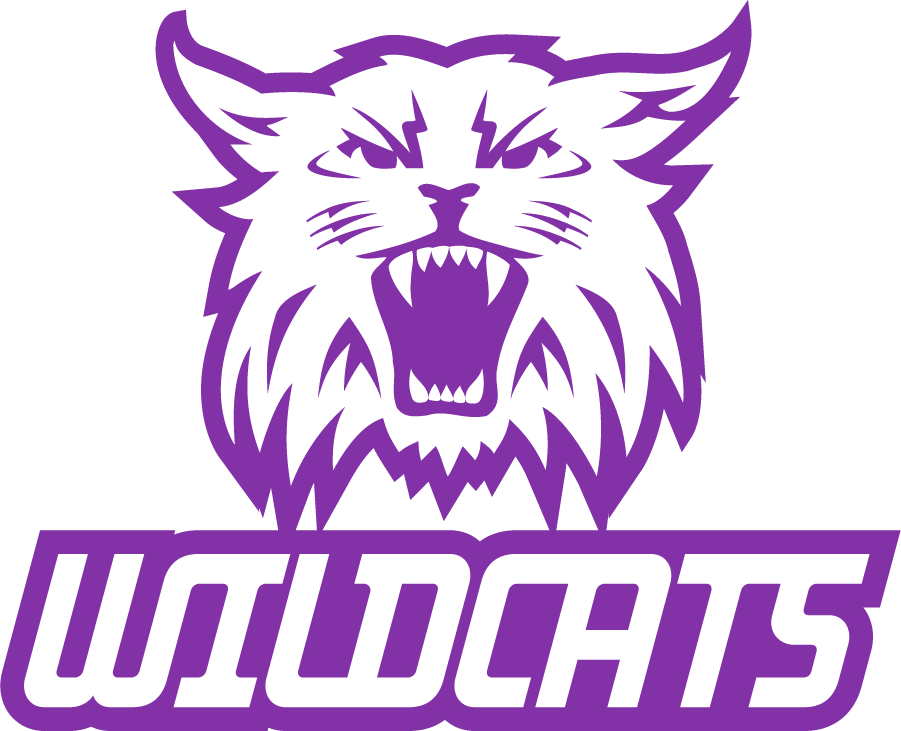 Weber State Wildcats 2008-2012 Secondary Logo v2 t shirts iron on transfers